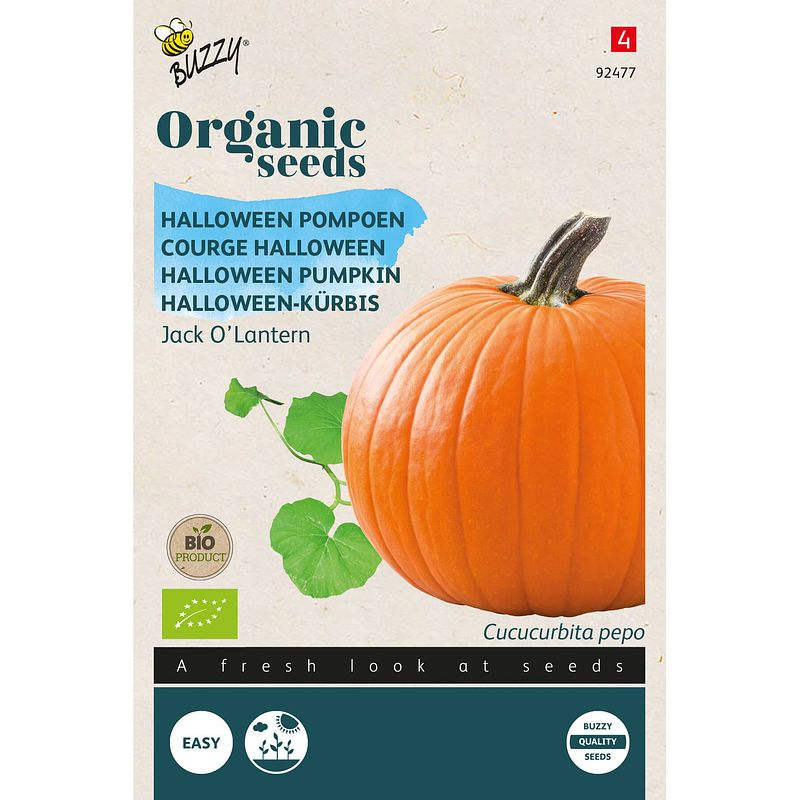 Foto van Buzzy - organic pompoen jack o'slantern (bio)