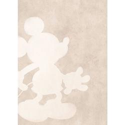 Foto van Komar mickey contour vlies fotobehang 200x280cm 4-banen