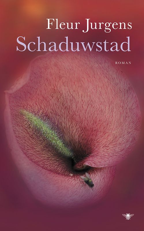 Foto van Schaduwstad - fleur jurgens - ebook (9789023474258)