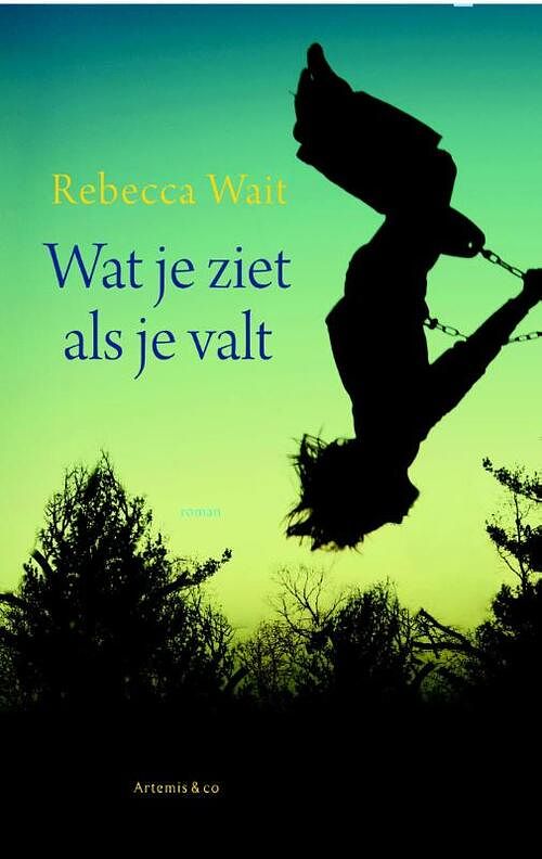 Foto van Wat je ziet als je valt - rebecca wait - ebook (9789047204466)