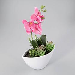 Foto van Orchidee in kunststof pot roze l