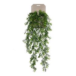 Foto van Buxus kunst hangplant 75cm