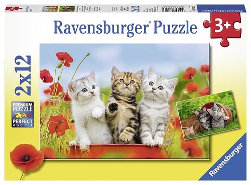 Foto van Katjes op ontdekkingsreis (2x12 stukjes) - puzzel;puzzel (4005556076260)