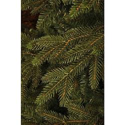 Foto van Black box - macallan xmas tree groen tips 4510 h305xd170cm kerst