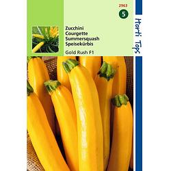 Foto van 2 stuks ht courgette gold rush f1