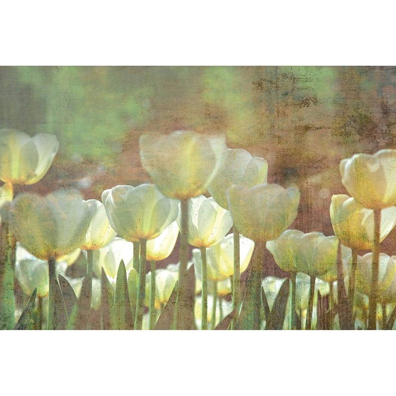 Foto van Dimex white tulips abstract fotobehang 375x250cm 5-banen