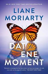 Foto van Dat ene moment - liane moriarty - ebook