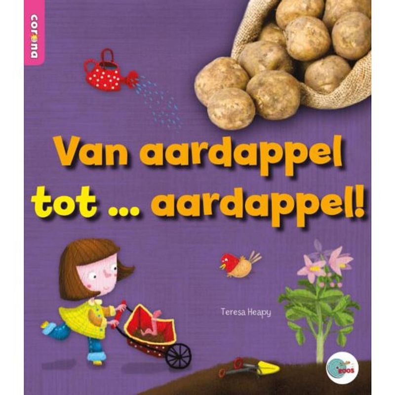 Foto van Van aardappel tot ... aardappel - in de roos