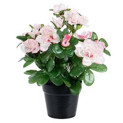 Foto van Azalea kunstbloemen - in pot - wit/roze - h25 cm - kunstplanten