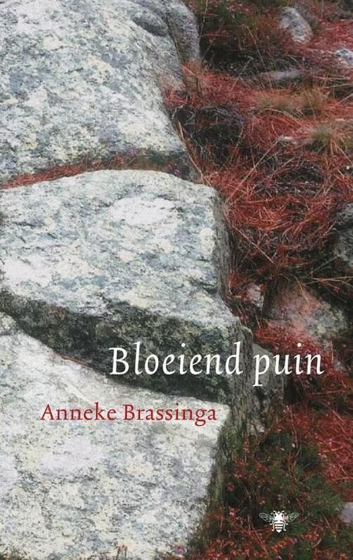 Foto van Bloeiend puin - anneke brassinga - ebook (9789023468318)