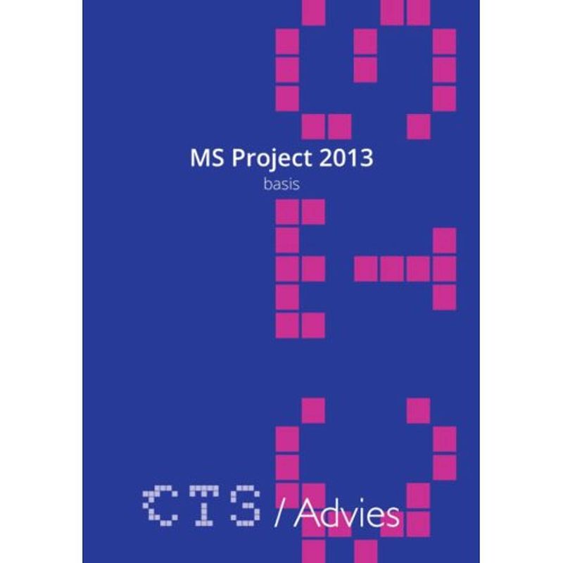 Foto van Ms project 2010-2013 basis