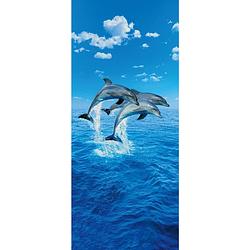 Foto van Wizard+genius three dolphins fotobehang 86x200cm