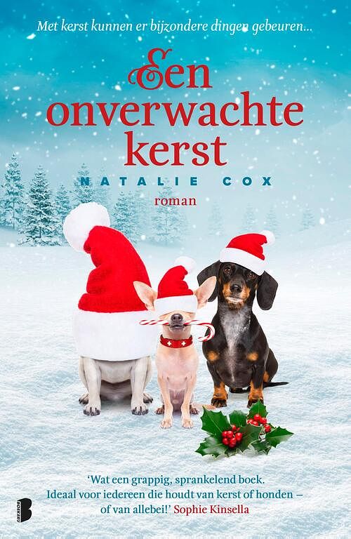 Foto van Een onverwachte kerst - natalie cox - ebook (9789402312249)