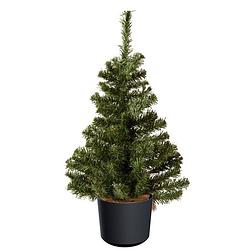 Foto van Mini kerstboom groen - in antraciet grijze kunststof pot - 60 cm - kunstboom - kunstkerstboom