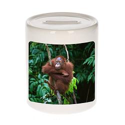 Foto van Dieren foto spaarpot orangoetan 9 cm - apen spaarpotten jongens en meisjes - spaarpotten
