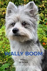 Foto van Wally boom - hans van der meer - ebook