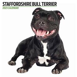 Foto van Staffordshire bull terrier kalender 2023 modern