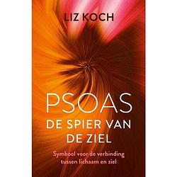 Foto van Psoas, de spier van de ziel