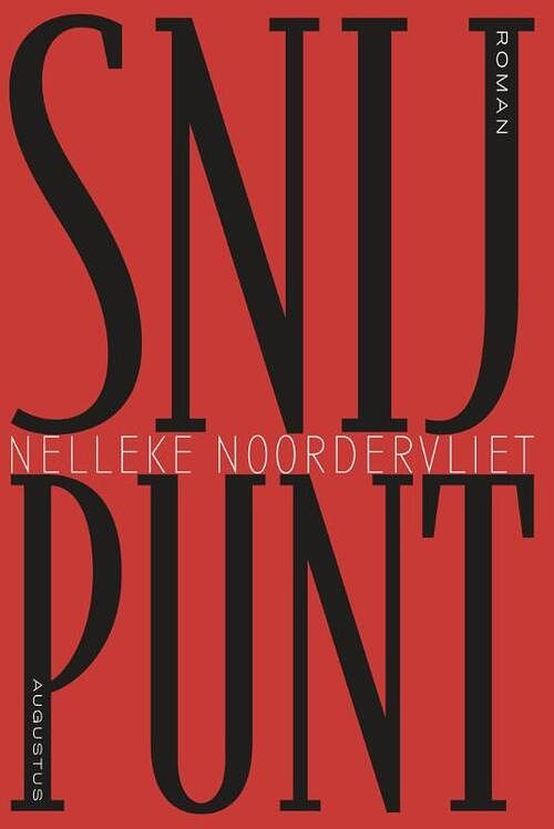 Foto van Snijpunt - nelleke noordervliet - ebook (9789045702209)