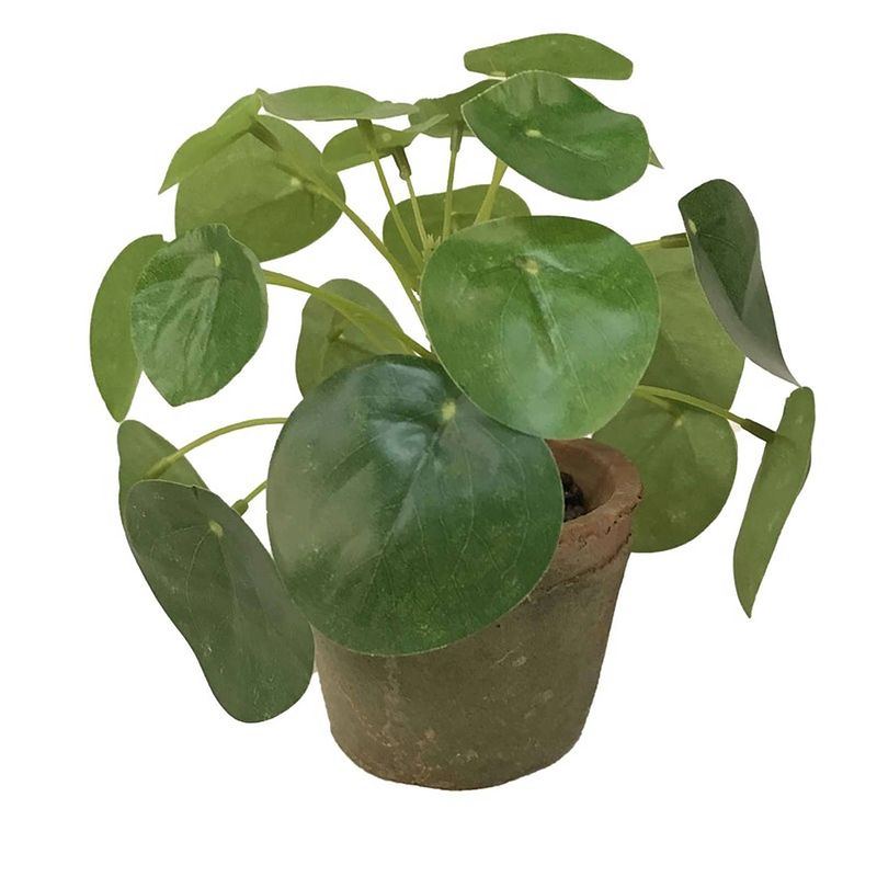 Foto van Kunstplant pilea groen in pot 13 cm - kunstplanten