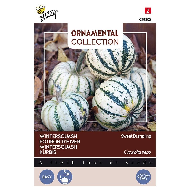 Foto van Buzzy - 3 stuks ornamental wintersquash sweet dumpling