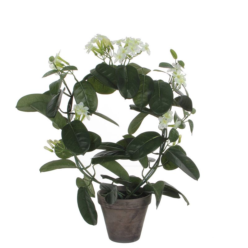 Foto van Stephanotis bruidsbloem kunstplant/kamerplant wit in grijze sierpot h50 cm x d40 cm - kunstplanten