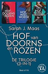 Foto van Hof van doorns en rozen - de trilogie - sarah j. maas - ebook (9789000359738)