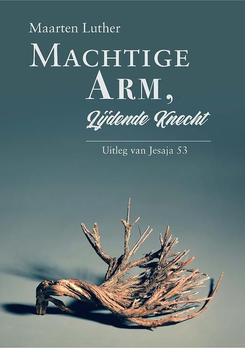 Foto van Machtige arm, lijdende knecht - maarten luther - ebook (9789087187491)