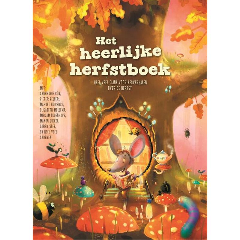 Foto van Het heerlijke herfstboek