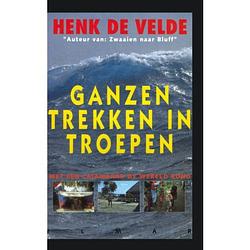 Foto van Ganzen trekken in troepen