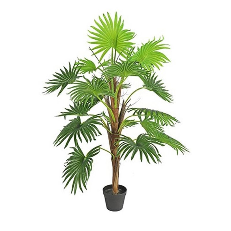 Foto van Non-branded kunstplant washingtonia 50 x 120 cm groen