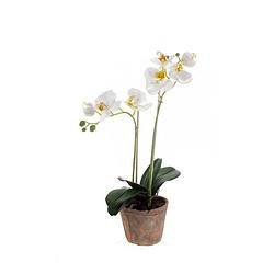 Foto van Kantoor kunstplant orchidee wit 42 cm in pot - kunstplanten
