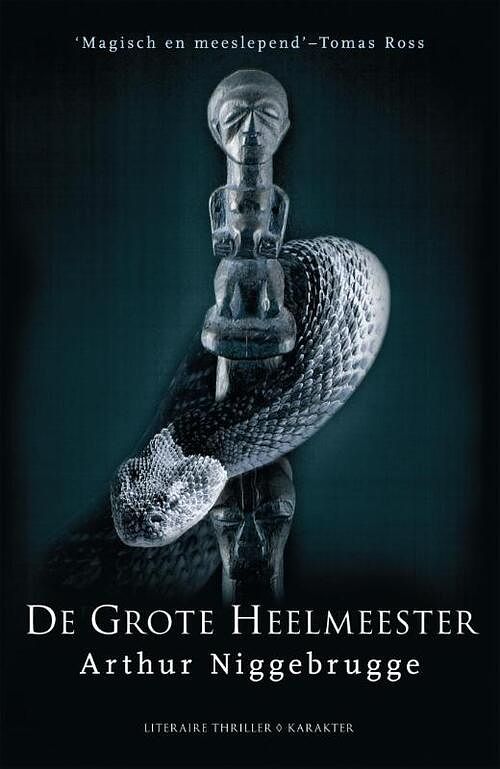 Foto van De grote heelmeester - arthur niggebrugge - ebook (9789045207704)