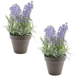 Foto van 2x groen/paarse lavendula/lavendel kunstplanten 17 cm zwarte pot - kunstplanten