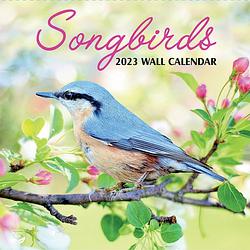 Foto van Songbirds kalender 2023 turner