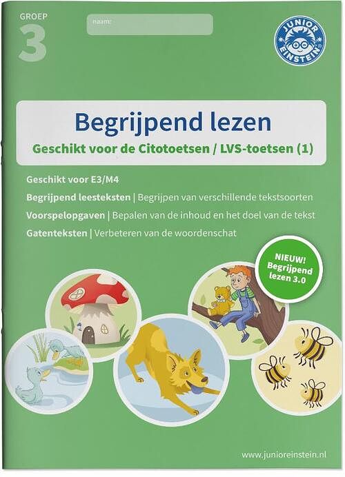 Foto van Begrijpend lezen - paperback (9789492265630)