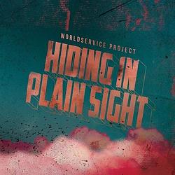 Foto van Hiding in plain sight - lp (5060197762070)