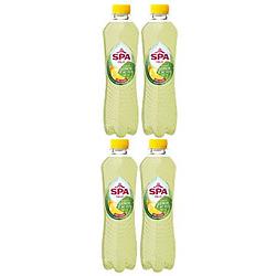 Foto van Spa fruit lemon cactus 4 x 40cl bij jumbo