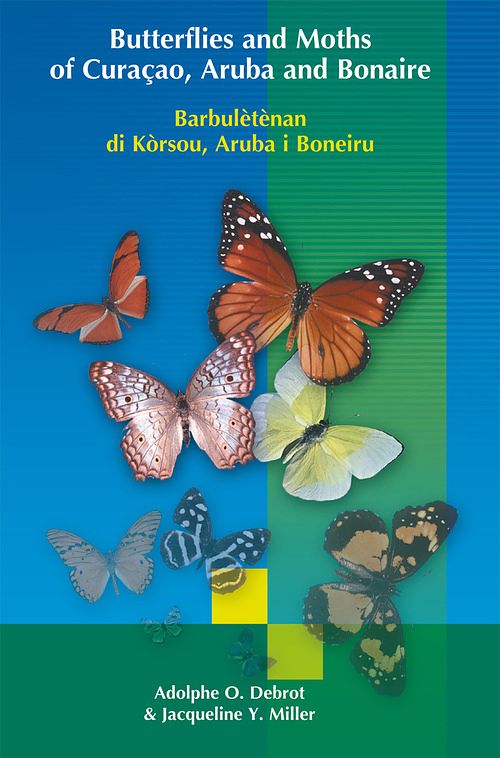 Foto van Butterflies and moths of curacao, aruba and bonaire - adolphe o. debrot, jacqueline y. miller - ebook (9789088507632)