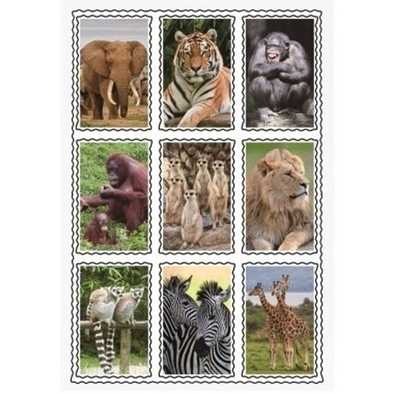 Foto van Dieren 3d sticker set - stickers