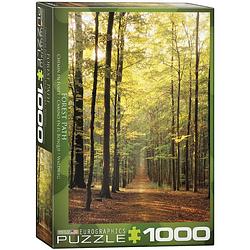 Foto van Eurographics puzzel forest path - 1000 stukjes
