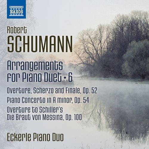 Foto van Arrangements for piano duet, vol. 6 - cd (0747313288274)