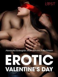 Foto van Erotic valentine s day - 5 erotische verhalen - sofia fritzson, malin edholm, alexandra sodergran - ebook