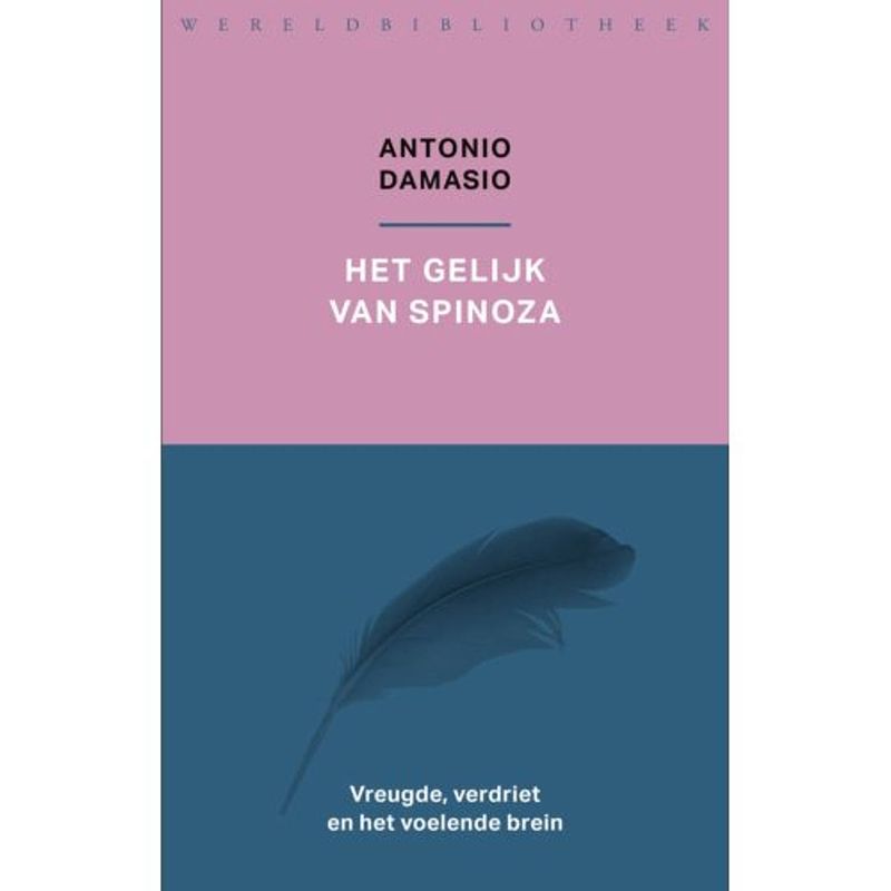 Foto van Het gelijk van spinoza