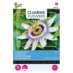 Foto van 3 stuks - buzzy - flowering climbers passiflora caerulea