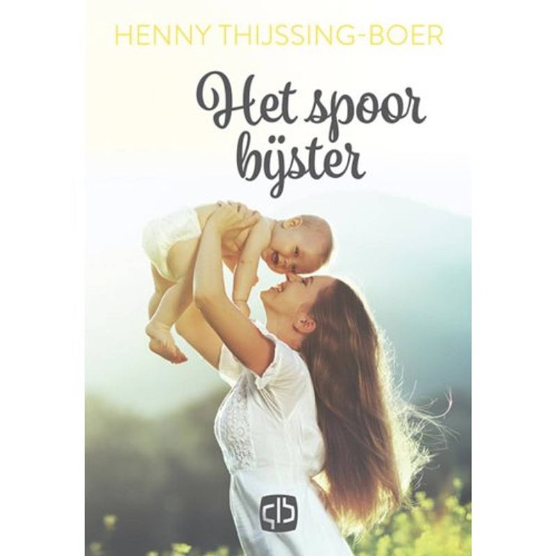 Foto van Het spoor bijster