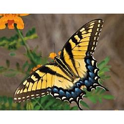 Foto van Dieren magneet 3d gele vlinder