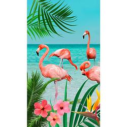 Foto van Good morning flamingo strandlaken - 100% polyester velours - 100x180 cm - multi