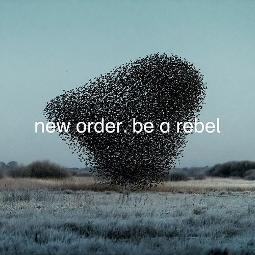 Foto van Be a rebel - 12 inch vinyl;12 inch vinyl (5400863041298)