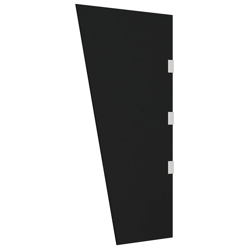 Foto van Vidaxl zijpaneel voor deurluifel 50x100 cm gehard glas zwart